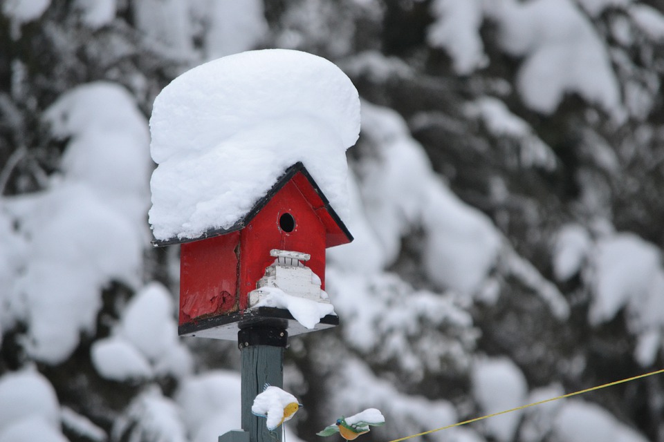 Je tuin goed de winter door laten komen